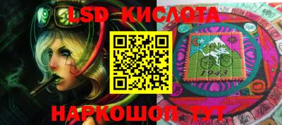 стаф Дубна