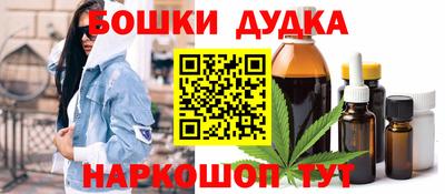 стаф Дубна