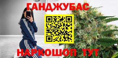 стаф Дубна