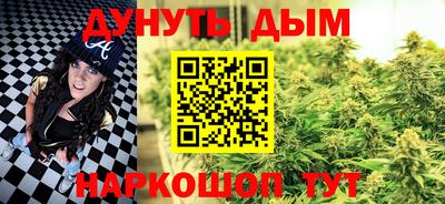 стаф Дубна