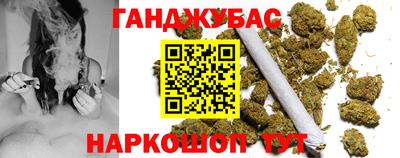 стаф Дубна