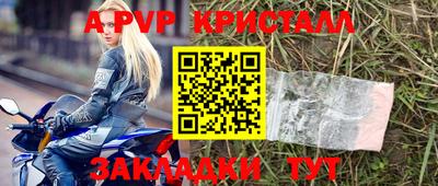 стаф Донской