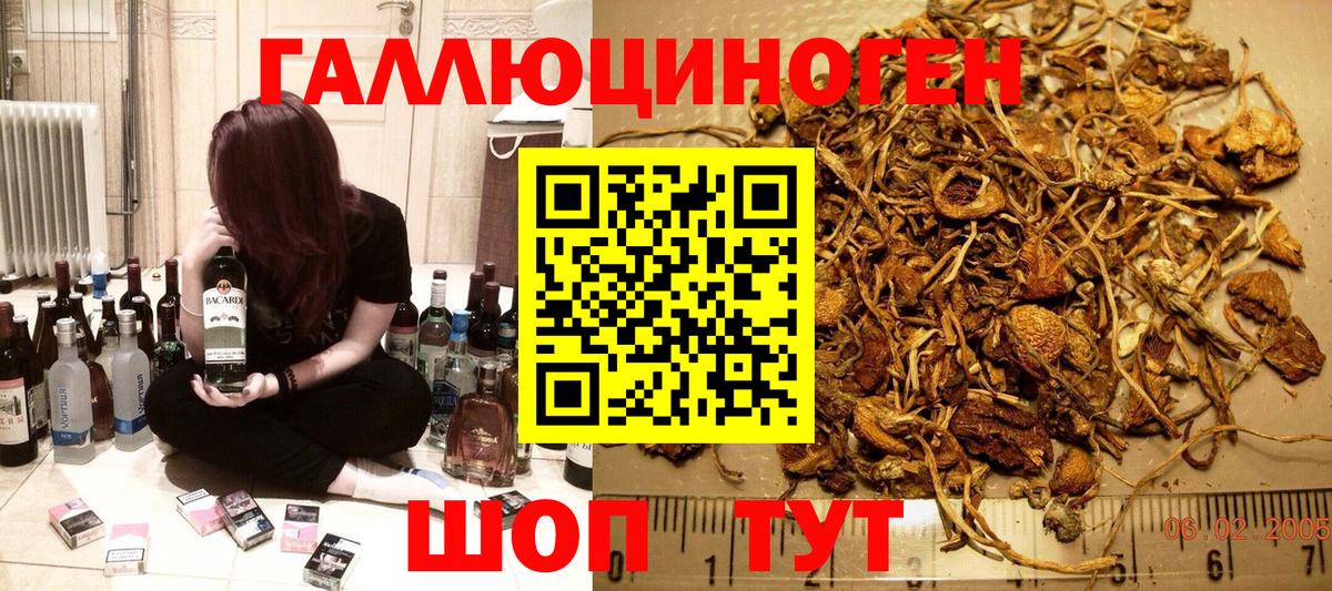 Галлюциногенные грибы GOLDEN TEACHER Малгобек
