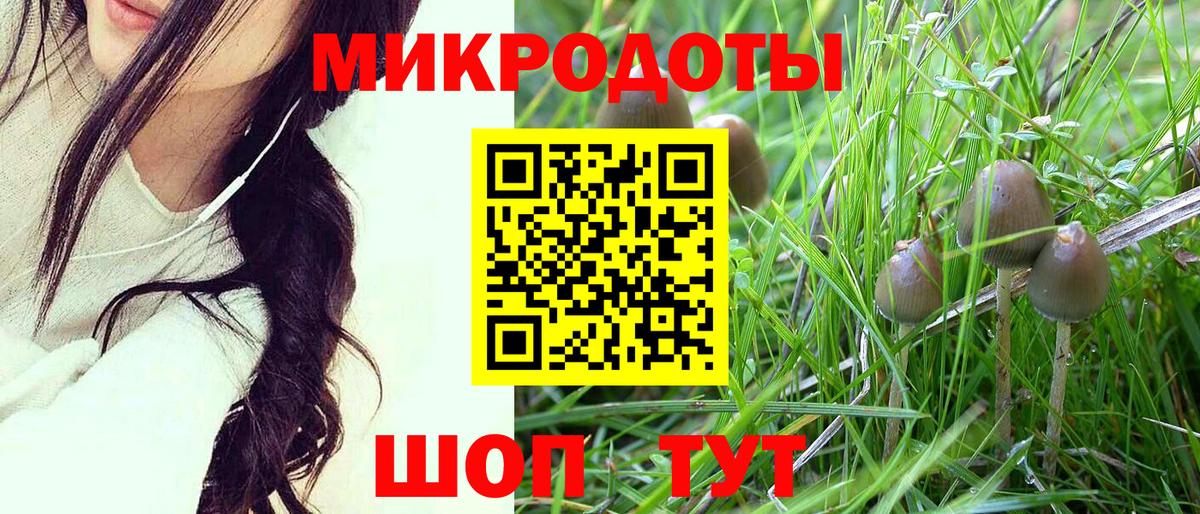 Псилоцибиновые грибы Psilocybine cubensis  Вход с VPN  Малгобек 