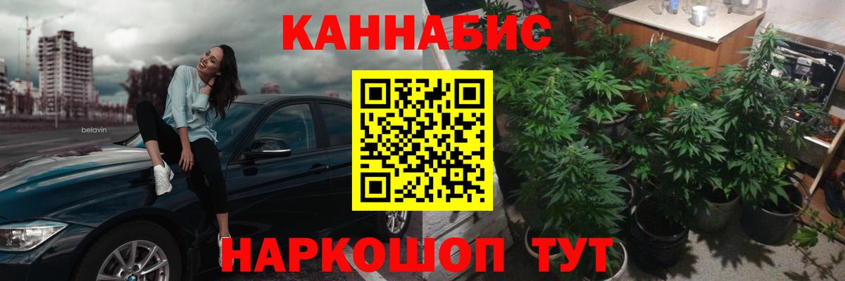 Канабис планчик Малгобек